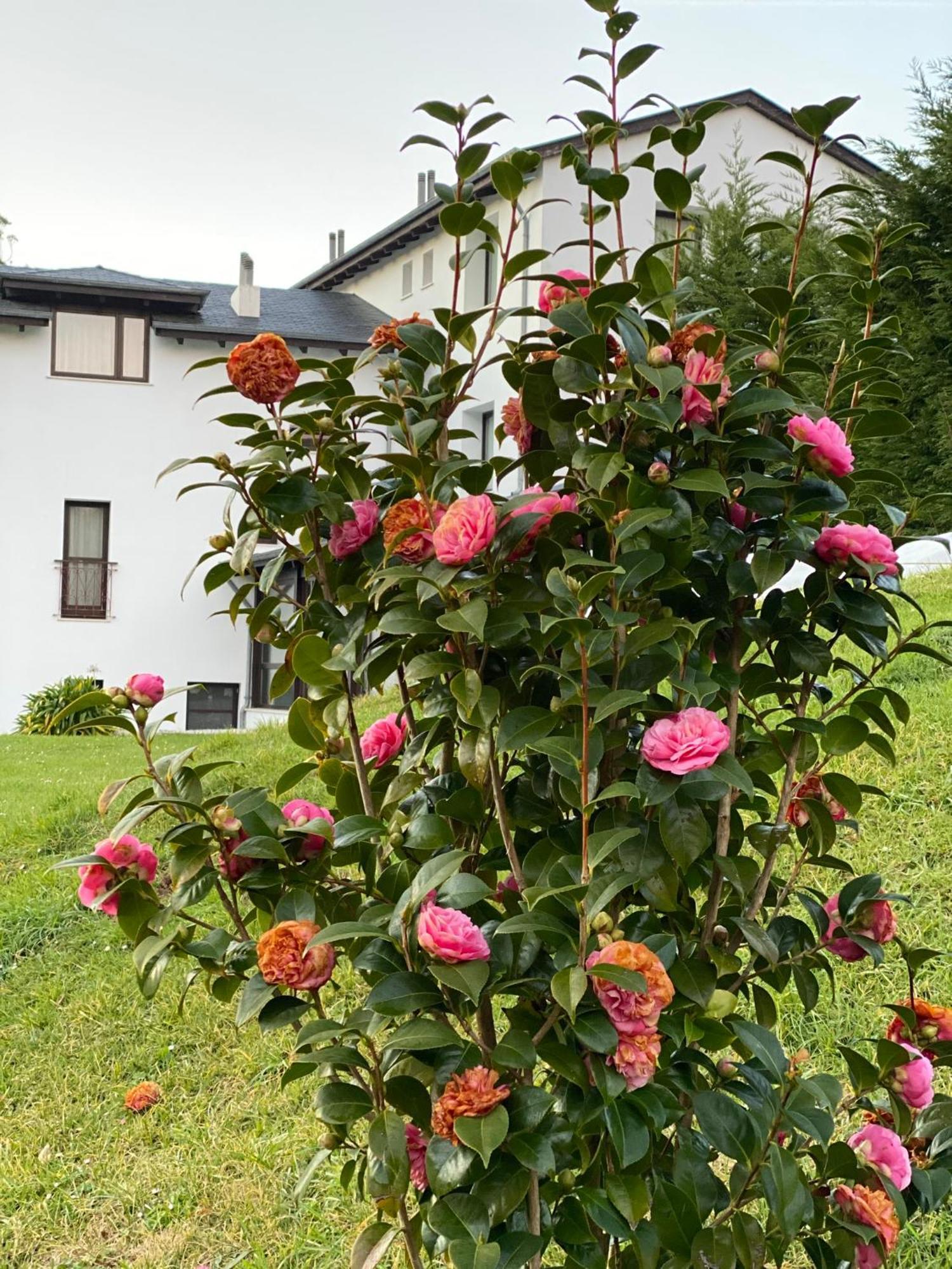 Finca Portizuelo لواركا المظهر الخارجي الصورة