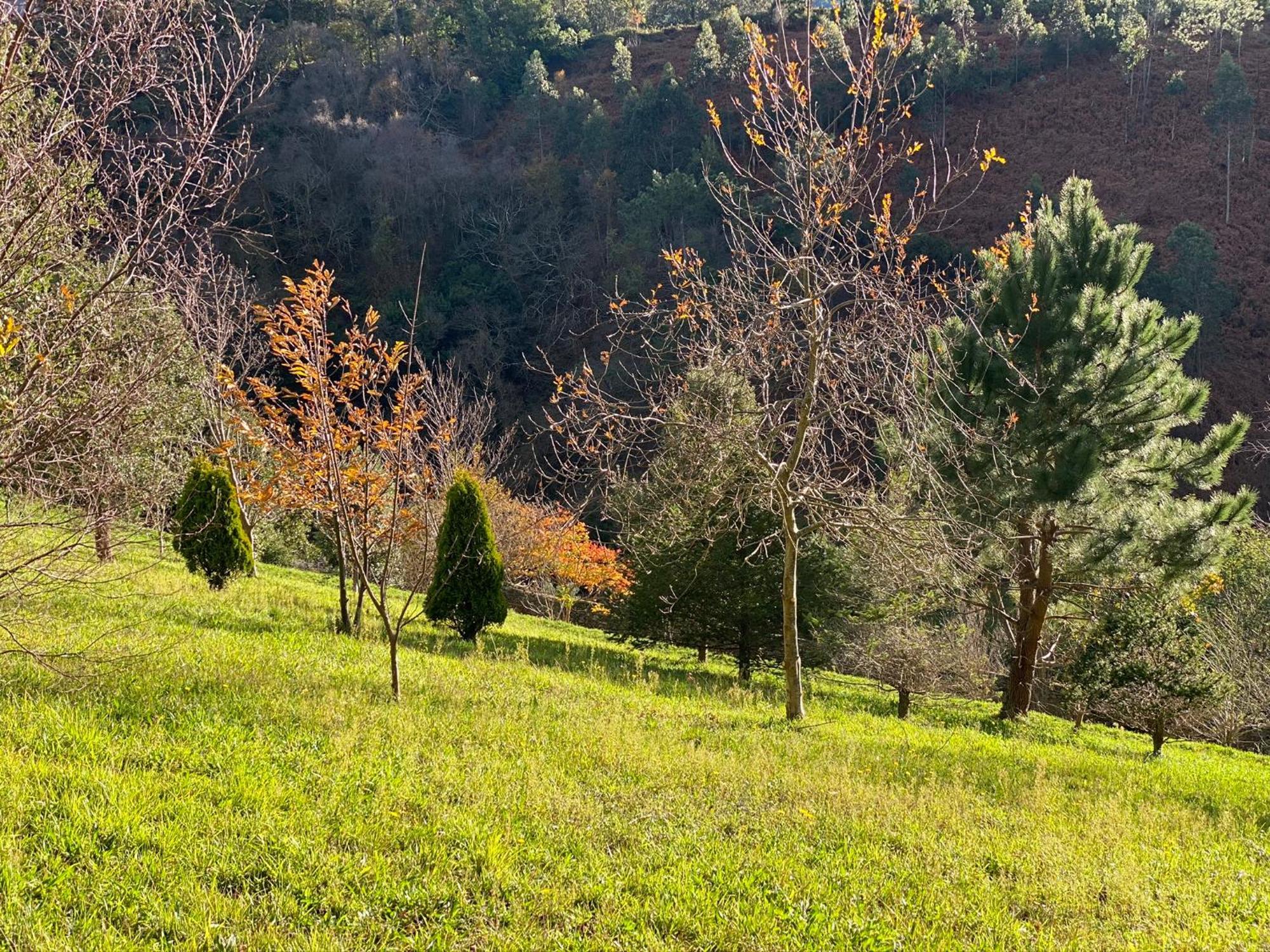 Finca Portizuelo لواركا المظهر الخارجي الصورة