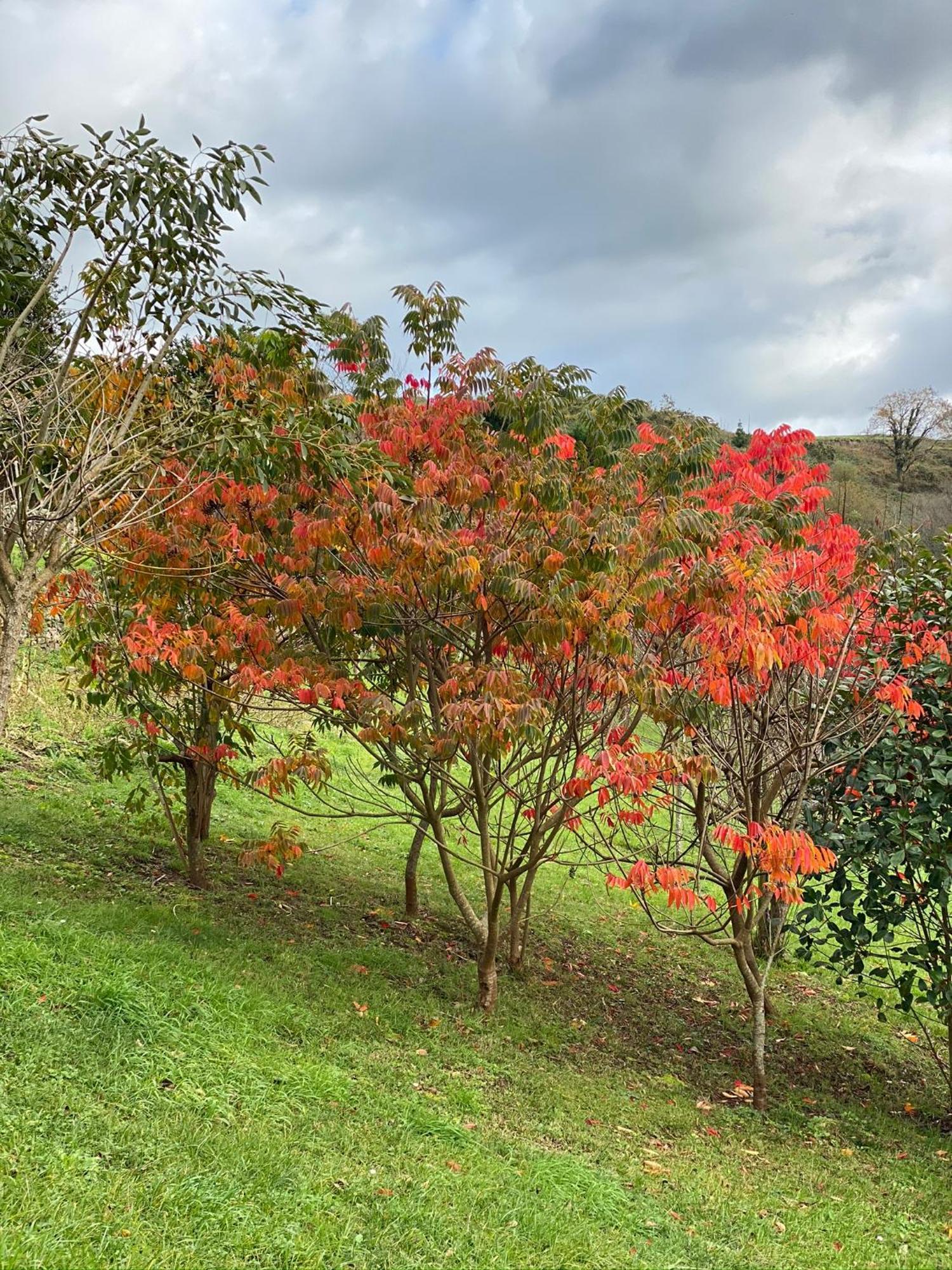 Finca Portizuelo لواركا المظهر الخارجي الصورة