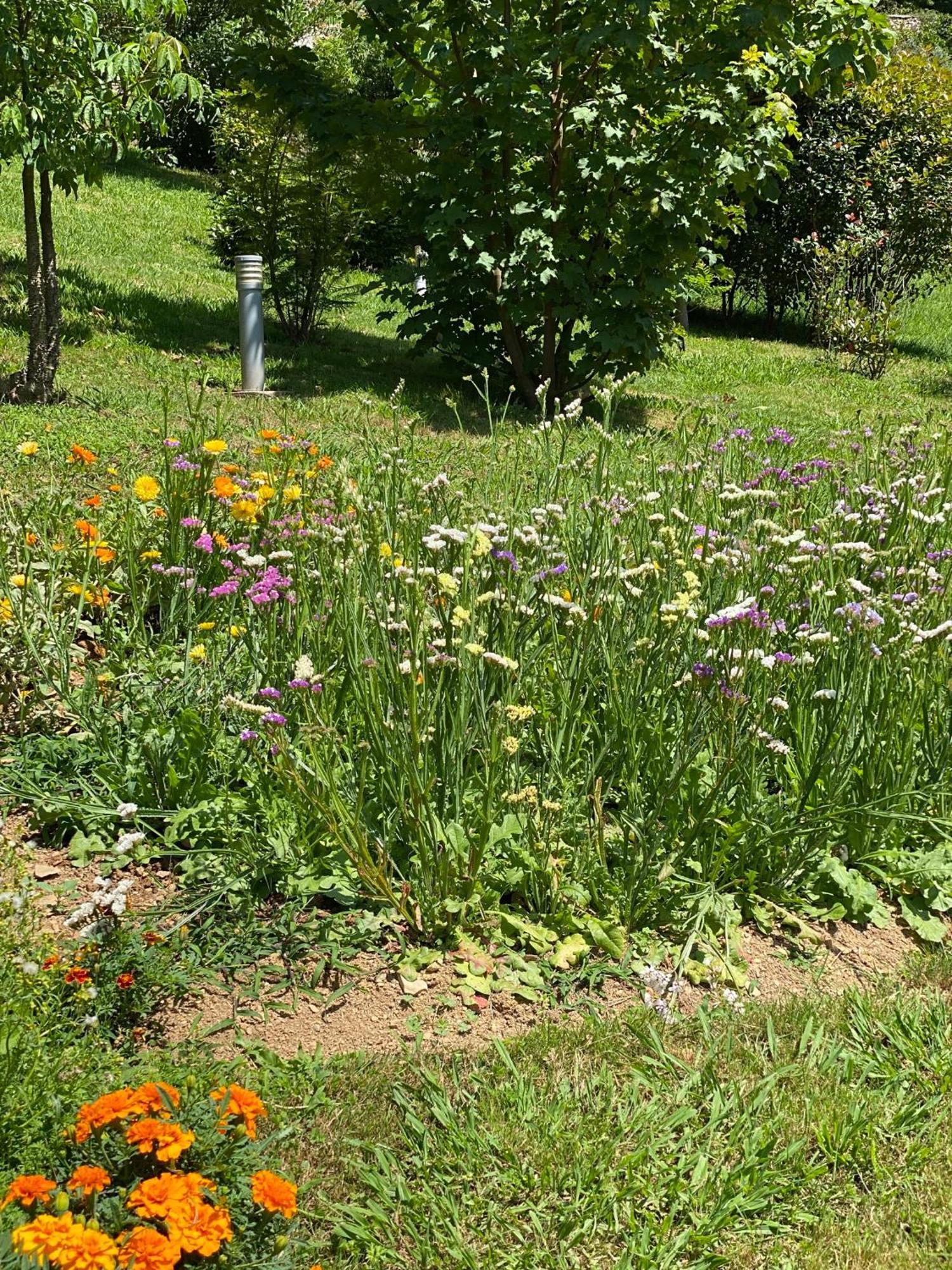 Finca Portizuelo لواركا المظهر الخارجي الصورة