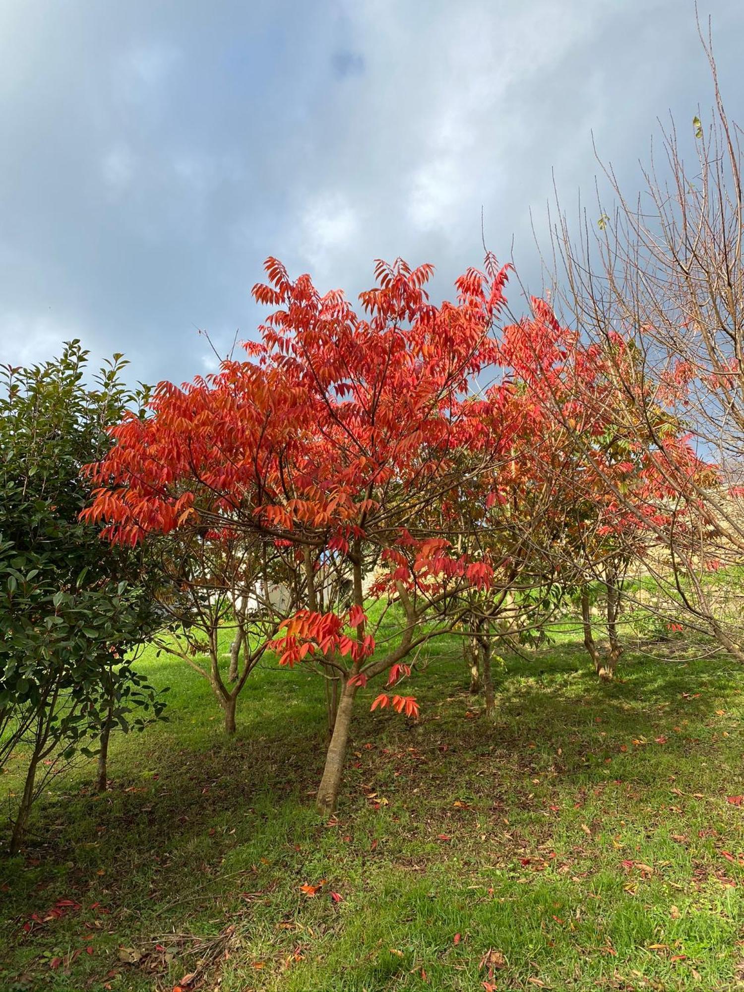 Finca Portizuelo لواركا المظهر الخارجي الصورة