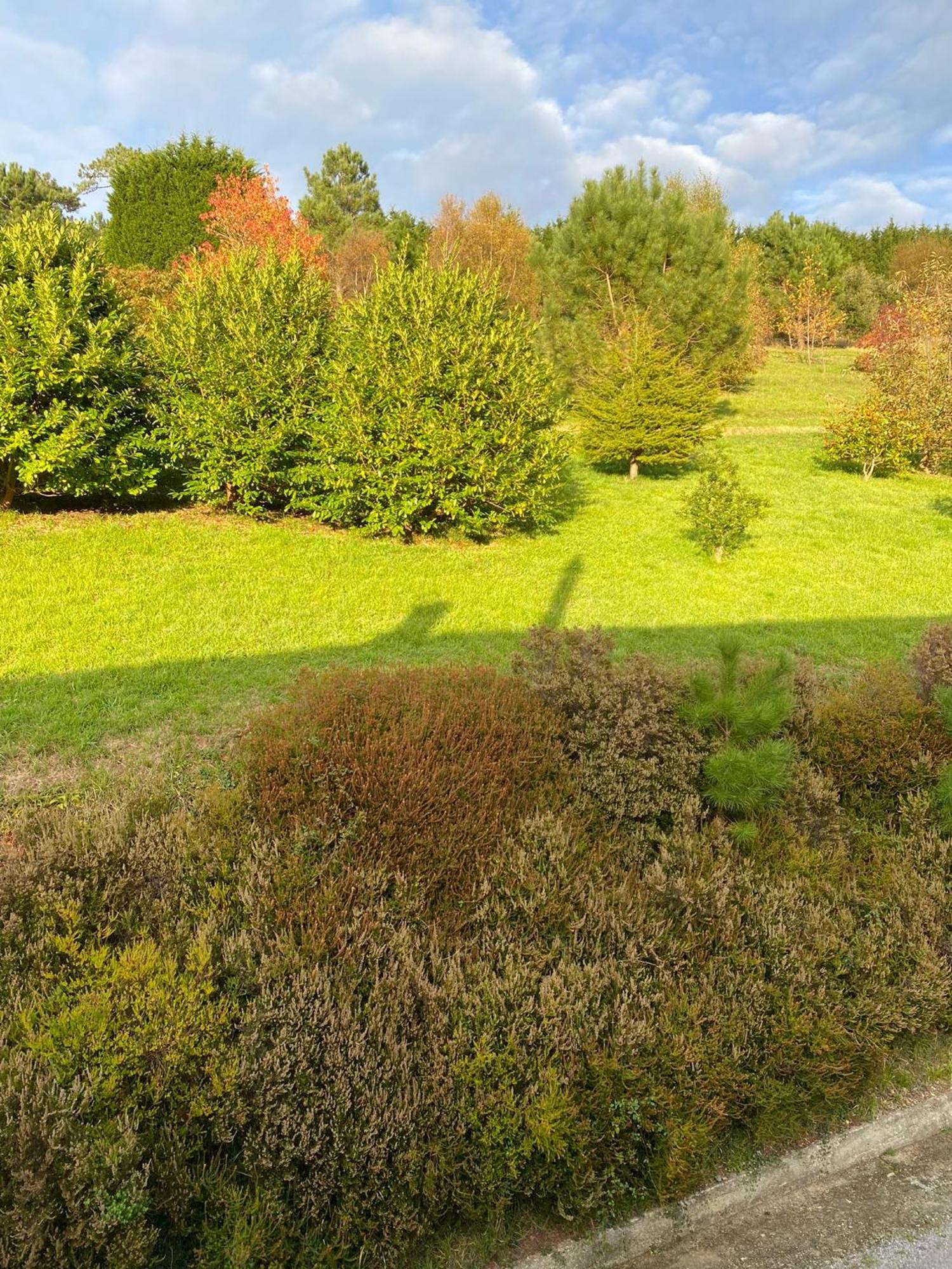 Finca Portizuelo لواركا المظهر الخارجي الصورة