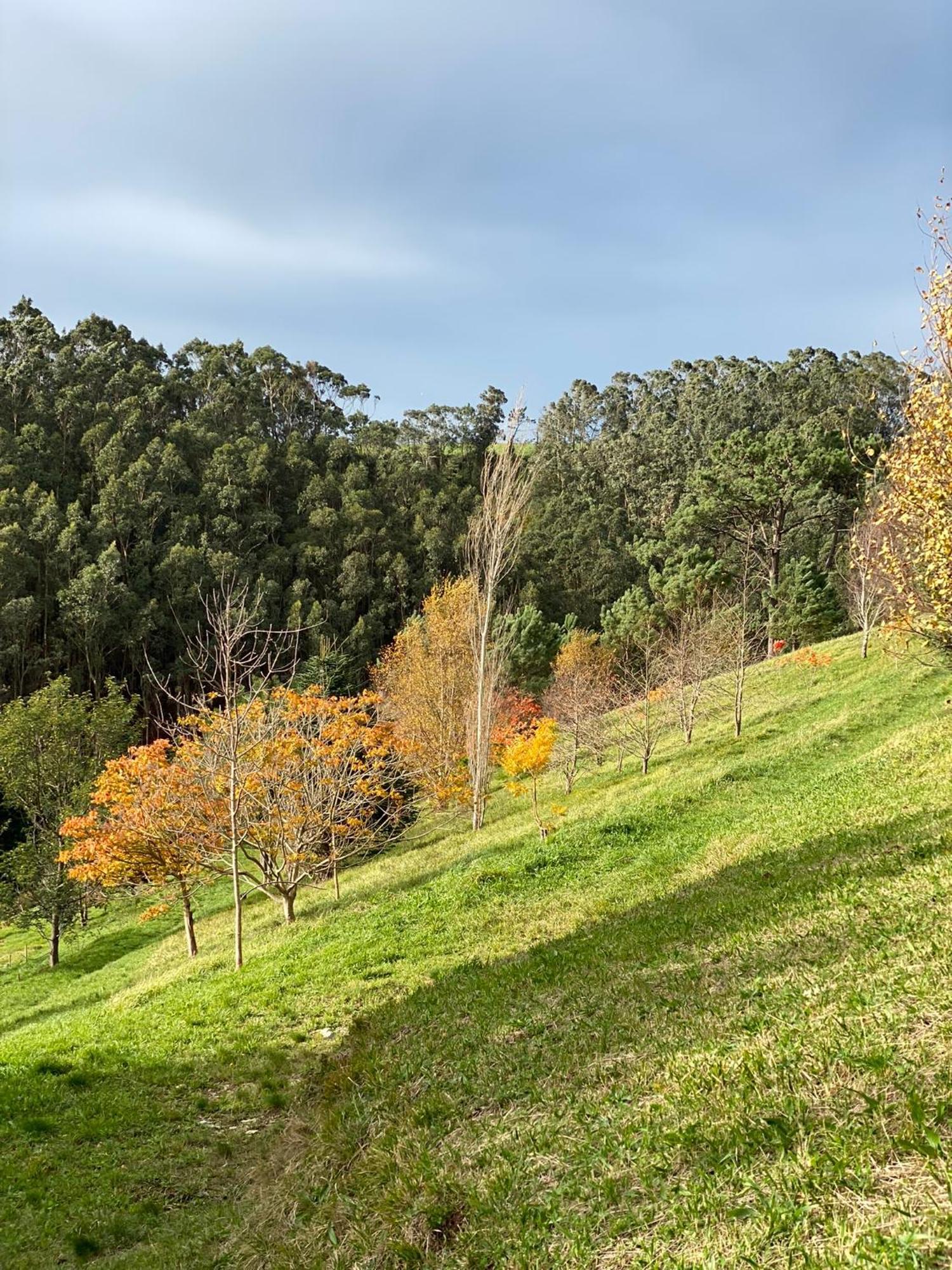Finca Portizuelo لواركا المظهر الخارجي الصورة