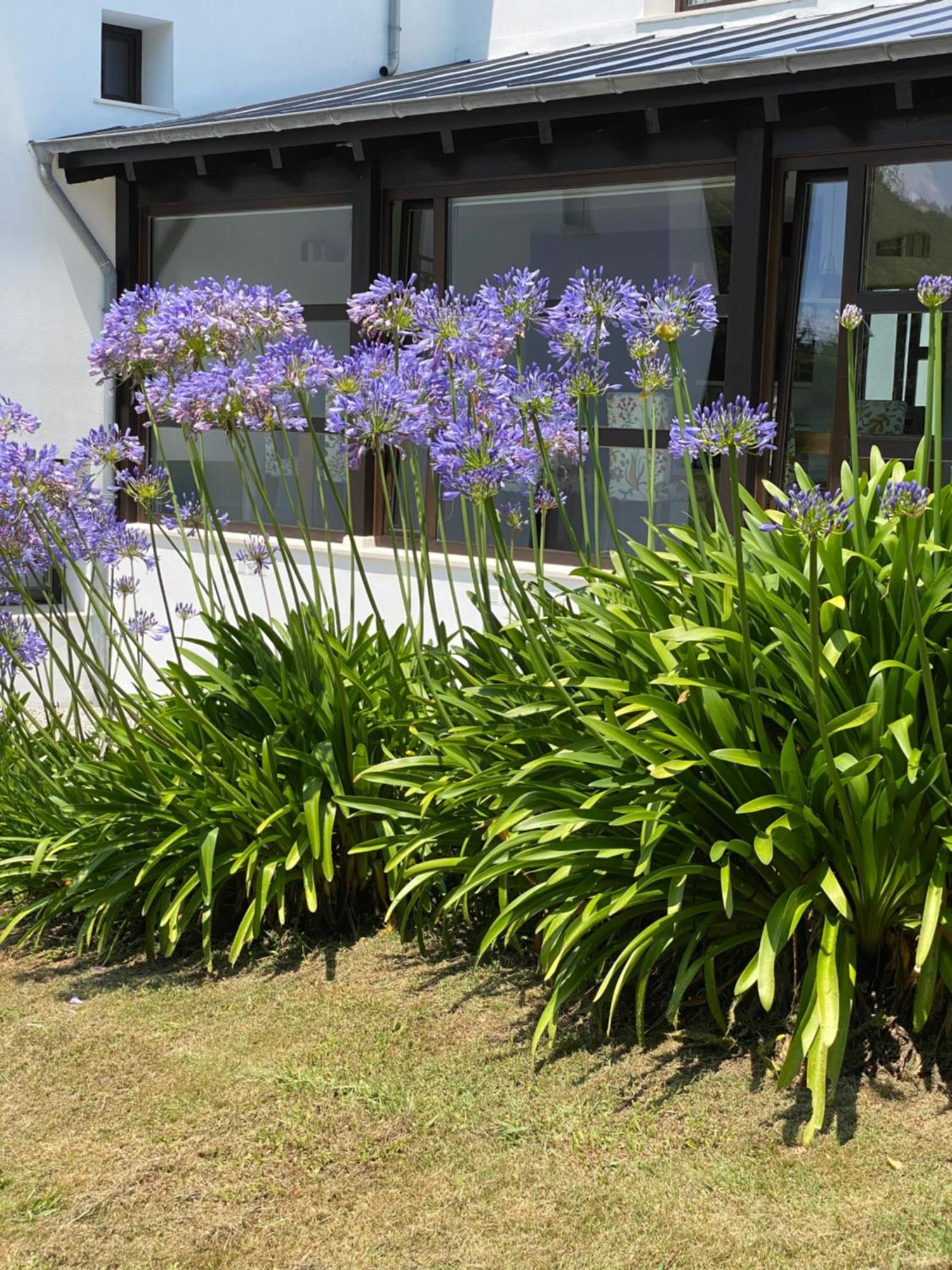Finca Portizuelo لواركا المظهر الخارجي الصورة