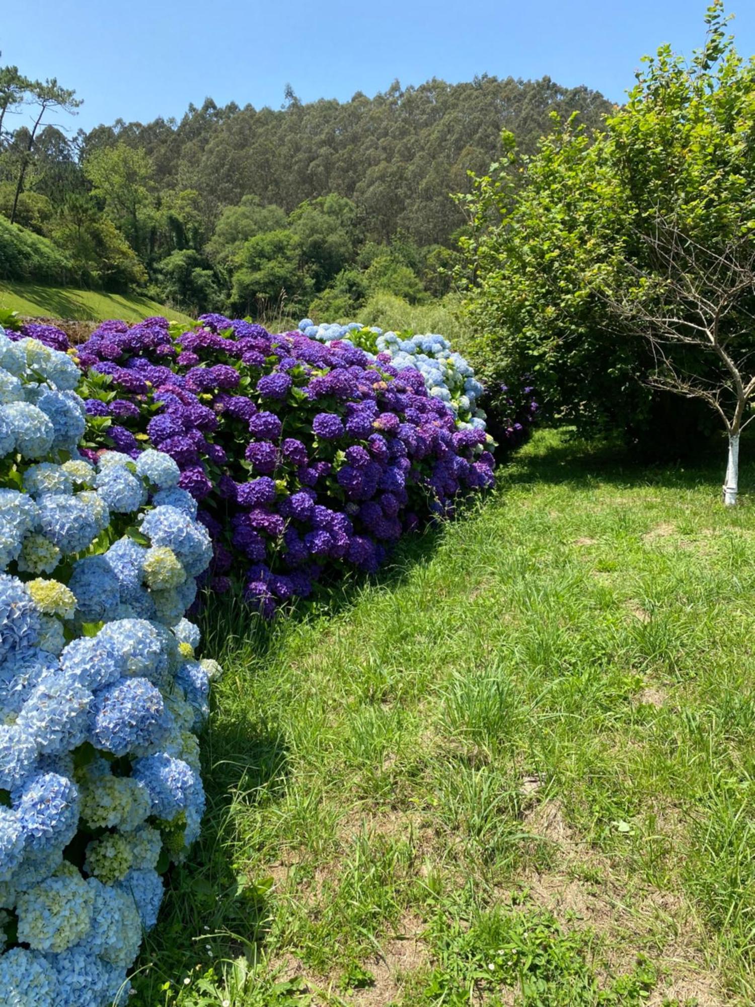 Finca Portizuelo لواركا المظهر الخارجي الصورة