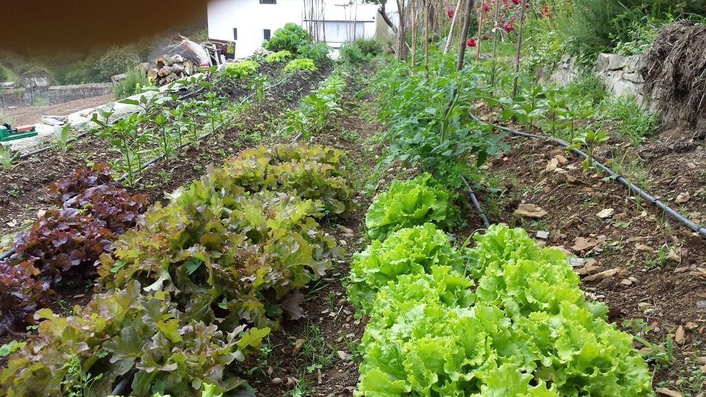 Finca Portizuelo لواركا المظهر الخارجي الصورة