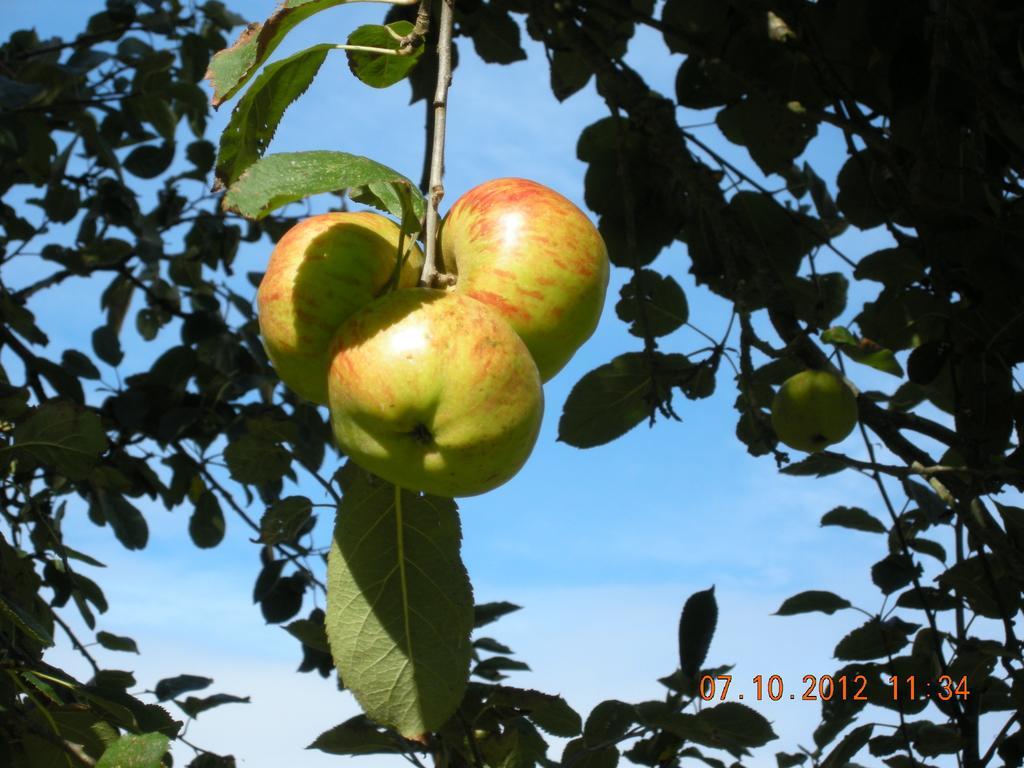 Finca Portizuelo لواركا المظهر الخارجي الصورة