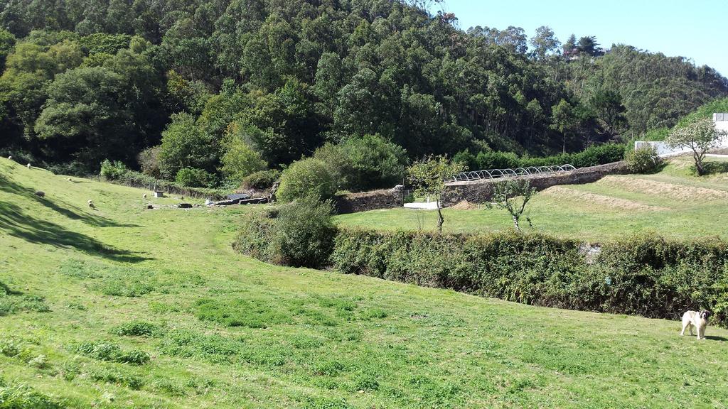 Finca Portizuelo لواركا المظهر الخارجي الصورة