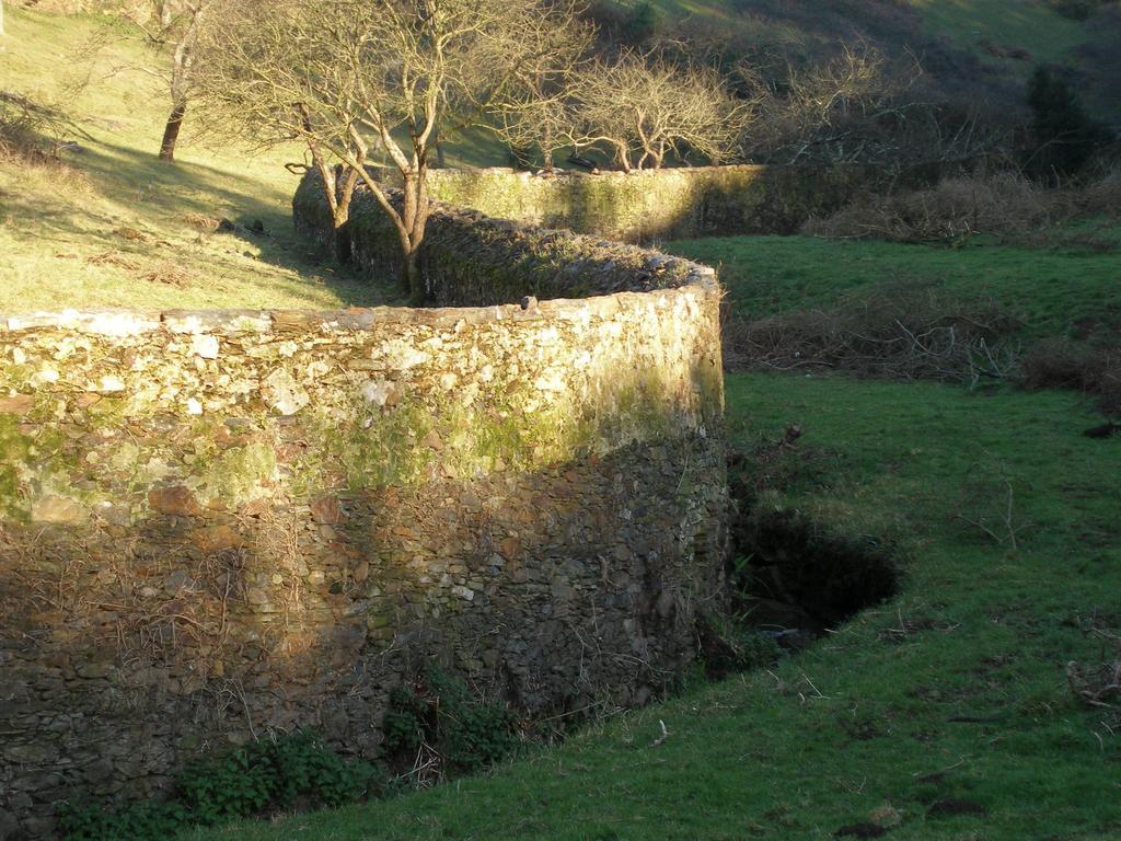 Finca Portizuelo لواركا المظهر الخارجي الصورة