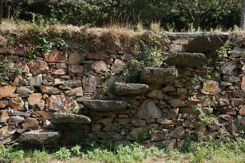 Finca Portizuelo لواركا المظهر الخارجي الصورة